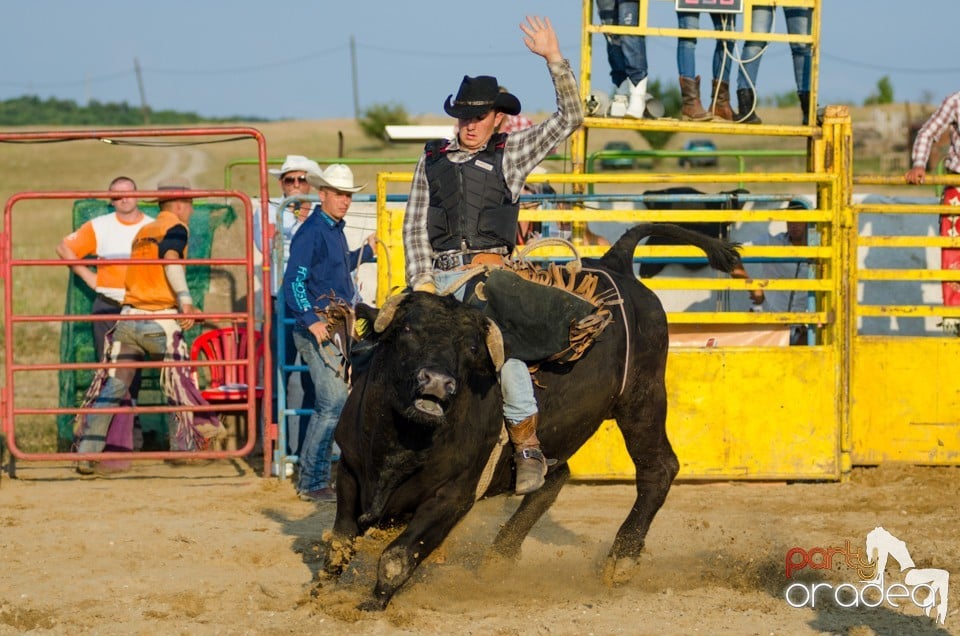 Campionat European de Rodeo, Băile Felix