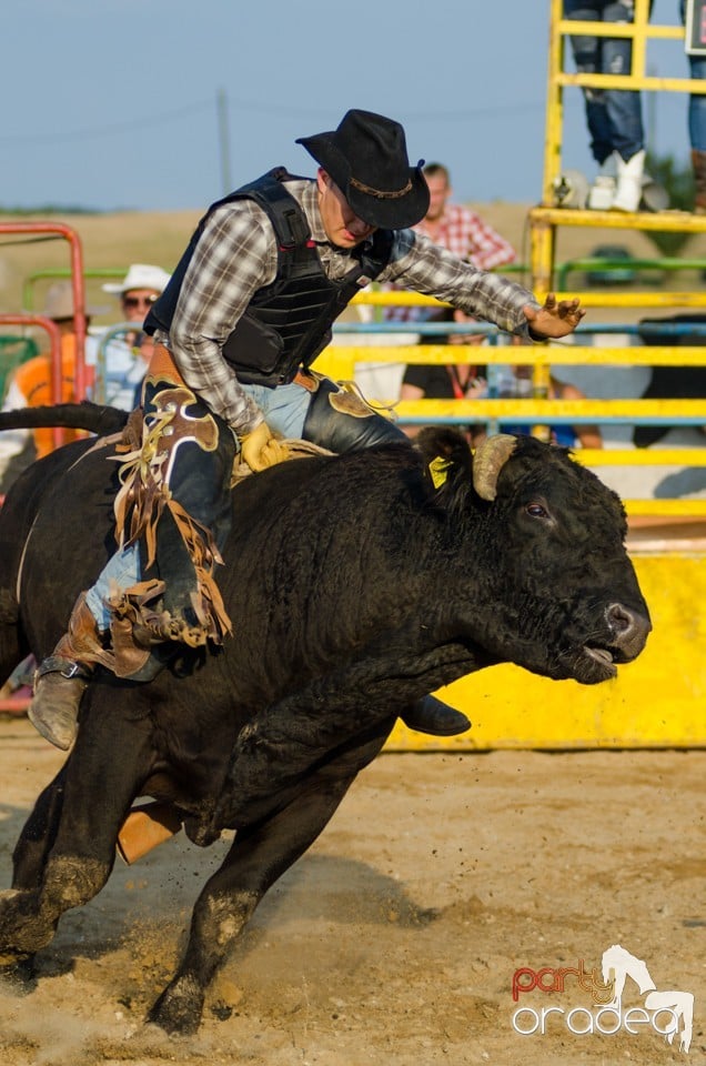 Campionat European de Rodeo, Băile Felix