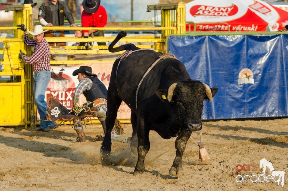 Campionat European de Rodeo, Băile Felix