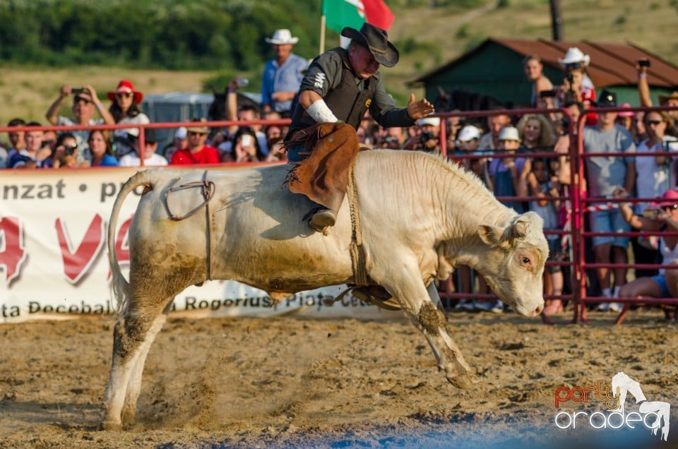 Campionat European de Rodeo, Băile Felix