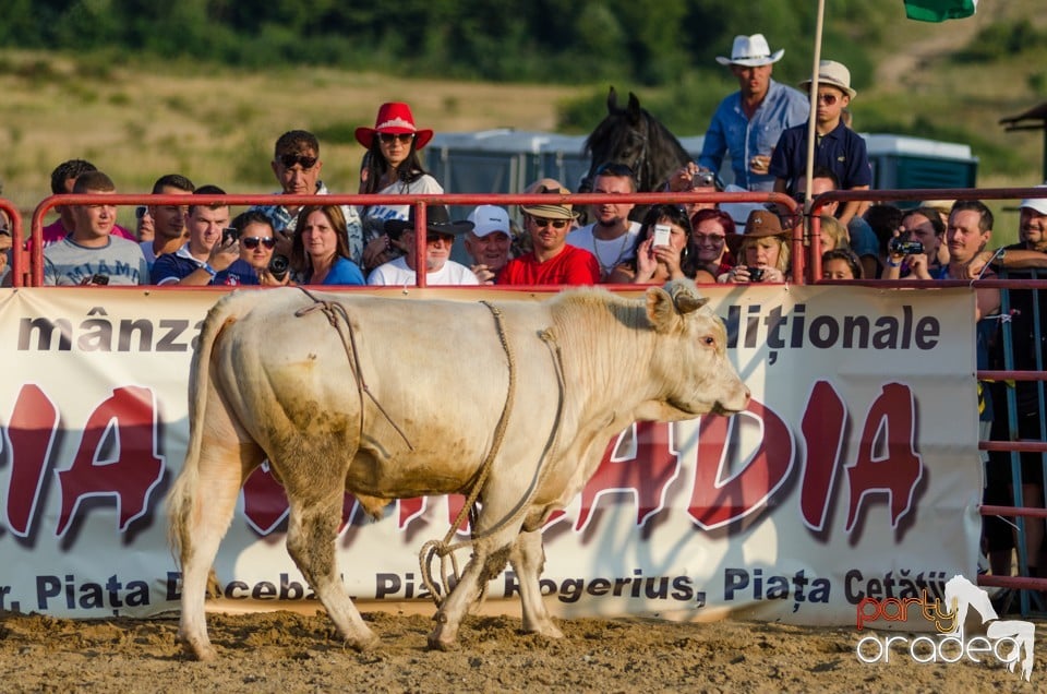 Campionat European de Rodeo, Băile Felix