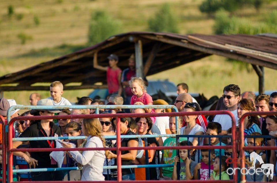 Campionat European de Rodeo, Băile Felix