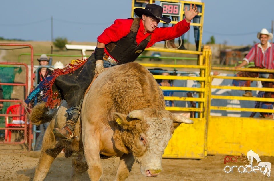 Campionat European de Rodeo, Băile Felix