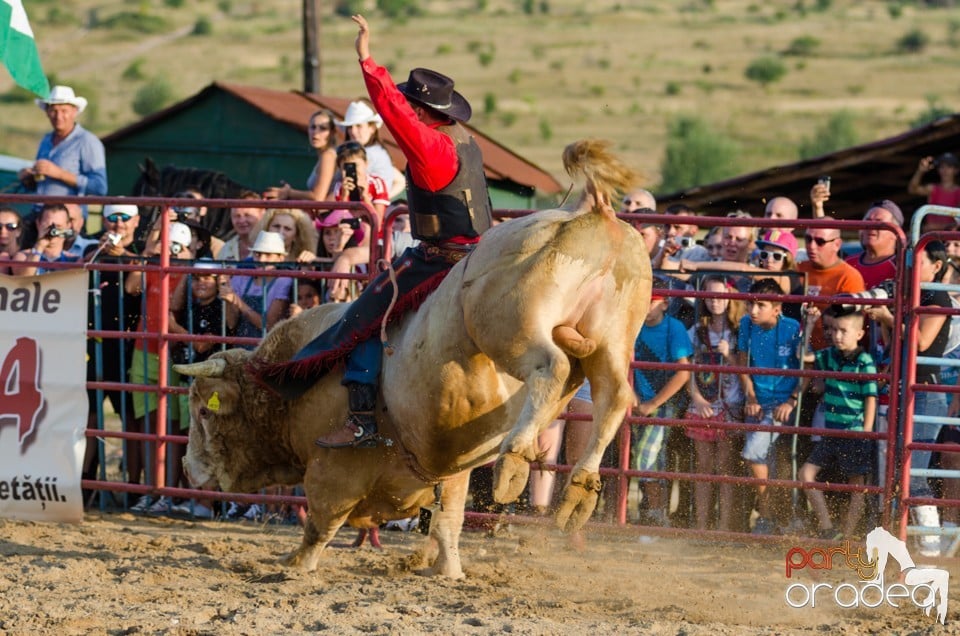 Campionat European de Rodeo, Băile Felix