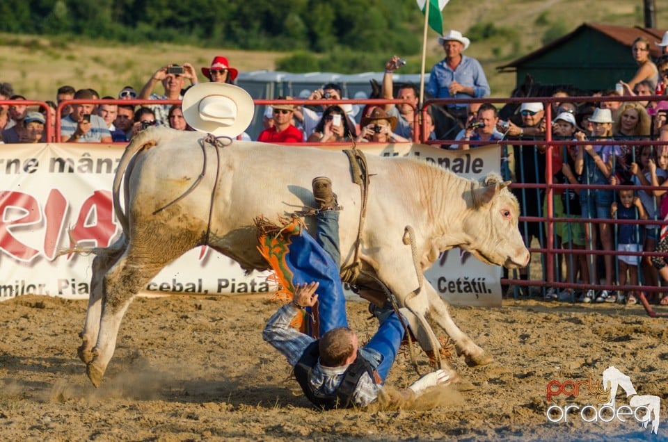 Campionat European de Rodeo, Băile Felix