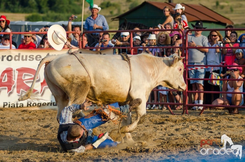 Campionat European de Rodeo, Băile Felix