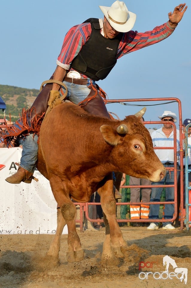 Campionat European de Rodeo, Băile Felix