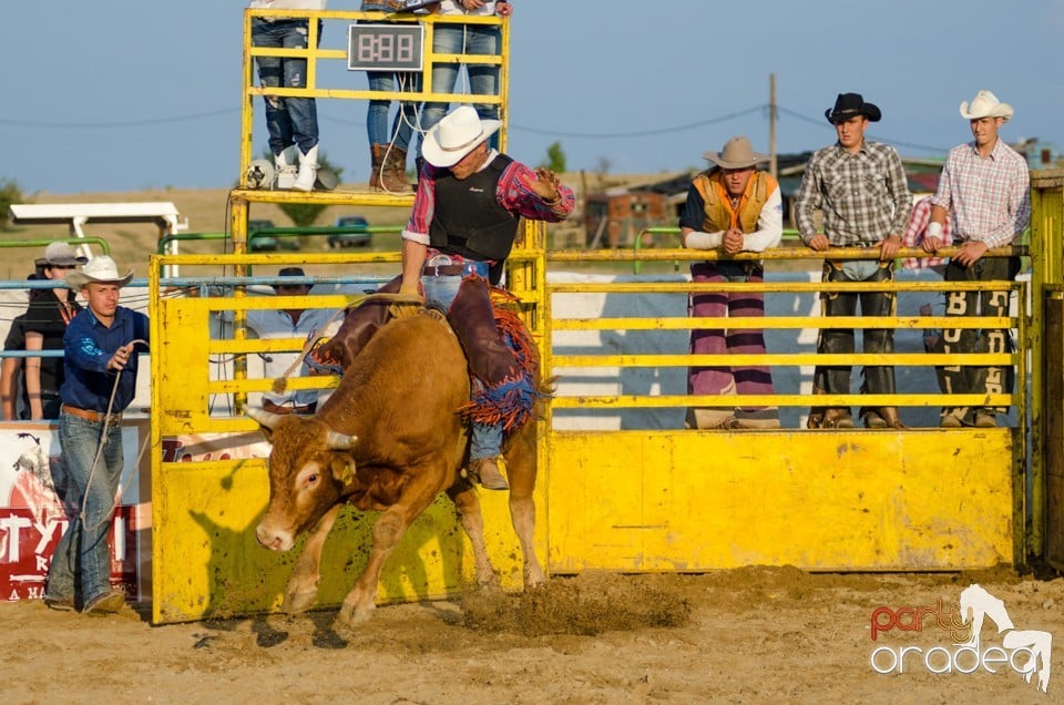 Campionat European de Rodeo, Băile Felix