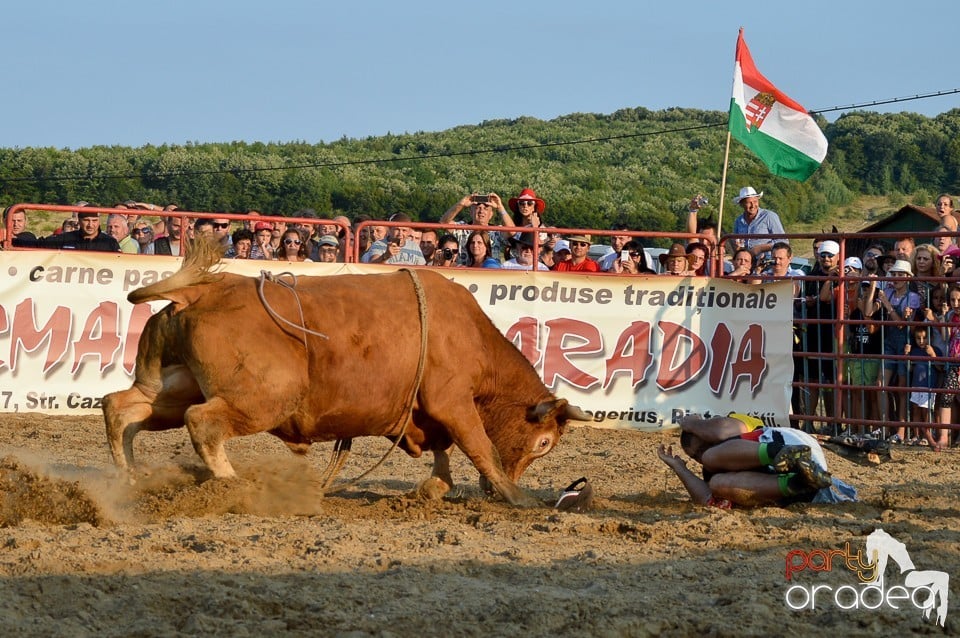 Campionat European de Rodeo, Băile Felix