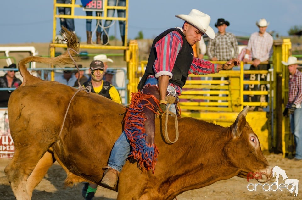 Campionat European de Rodeo, Băile Felix