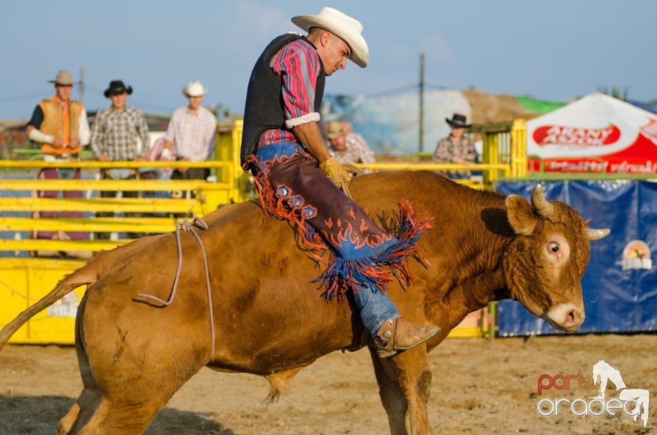 Campionat European de Rodeo, Băile Felix