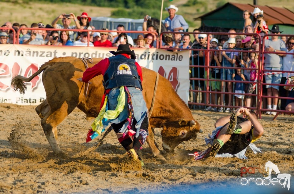 Campionat European de Rodeo, Băile Felix