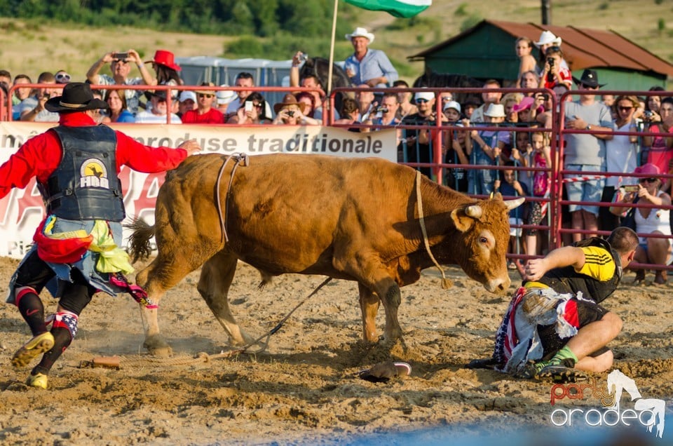 Campionat European de Rodeo, Băile Felix