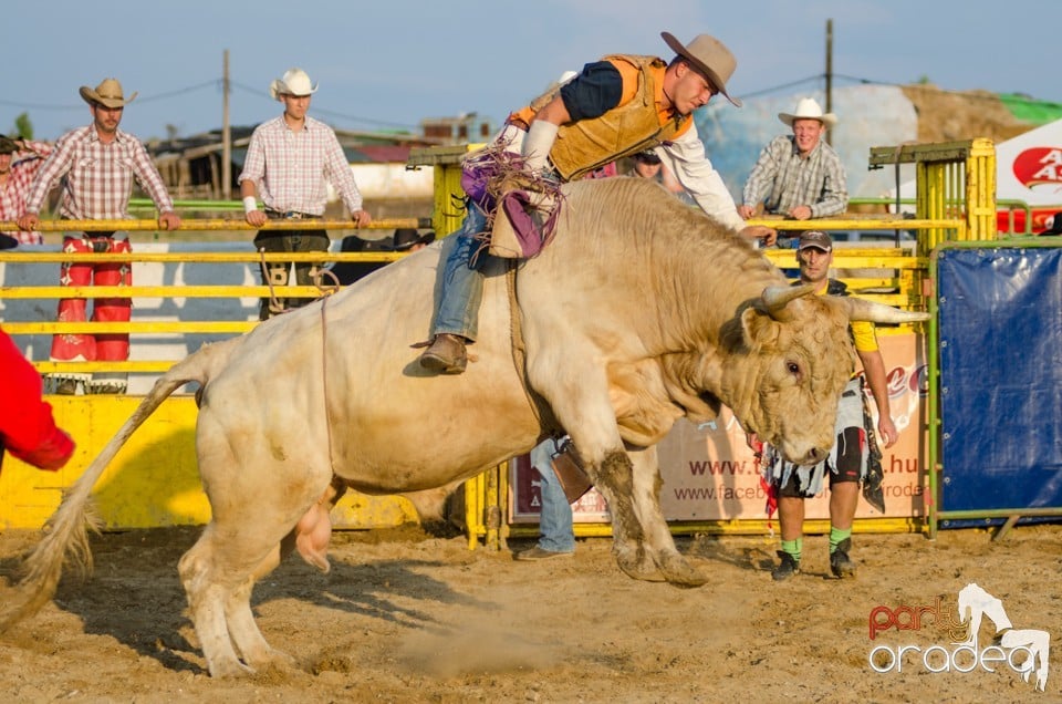 Campionat European de Rodeo, Băile Felix