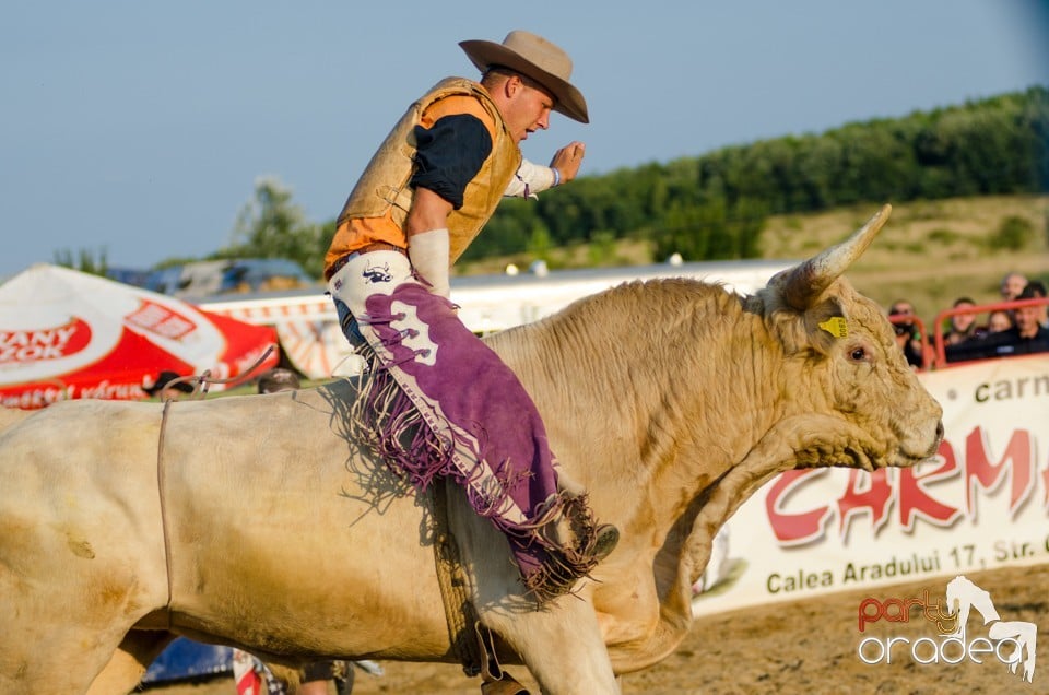 Campionat European de Rodeo, Băile Felix