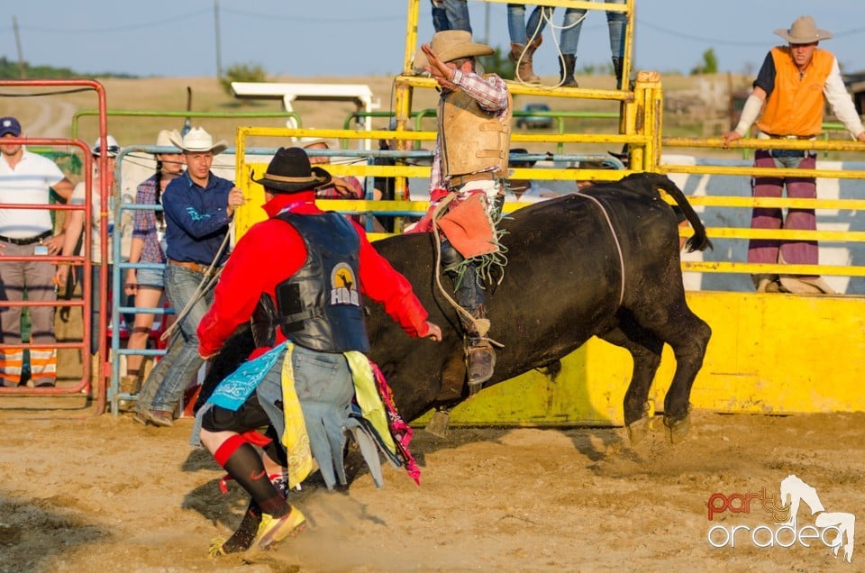 Campionat European de Rodeo, Băile Felix