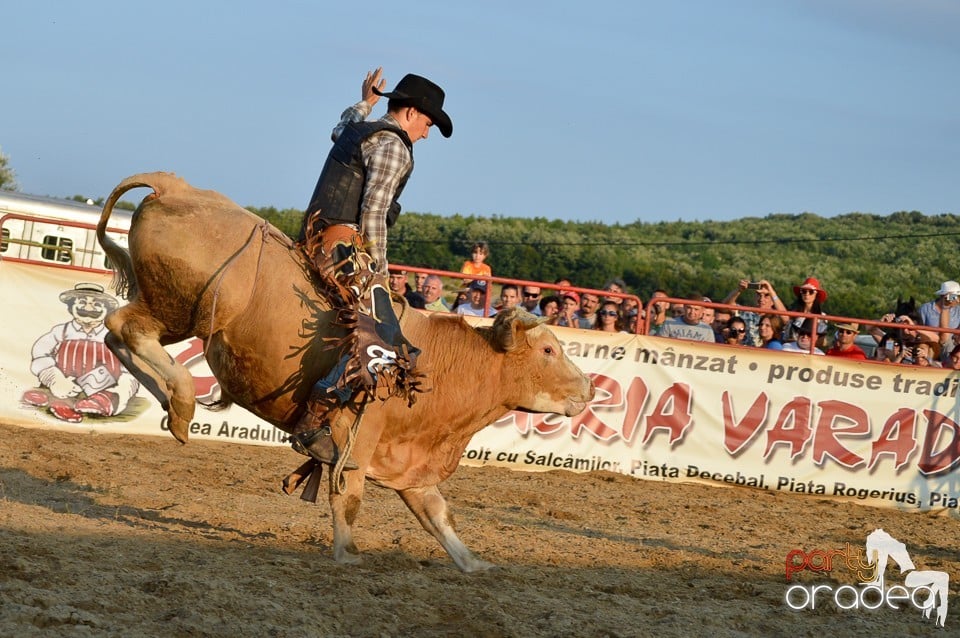 Campionat European de Rodeo, Băile Felix