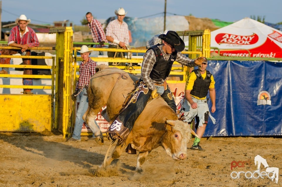 Campionat European de Rodeo, Băile Felix