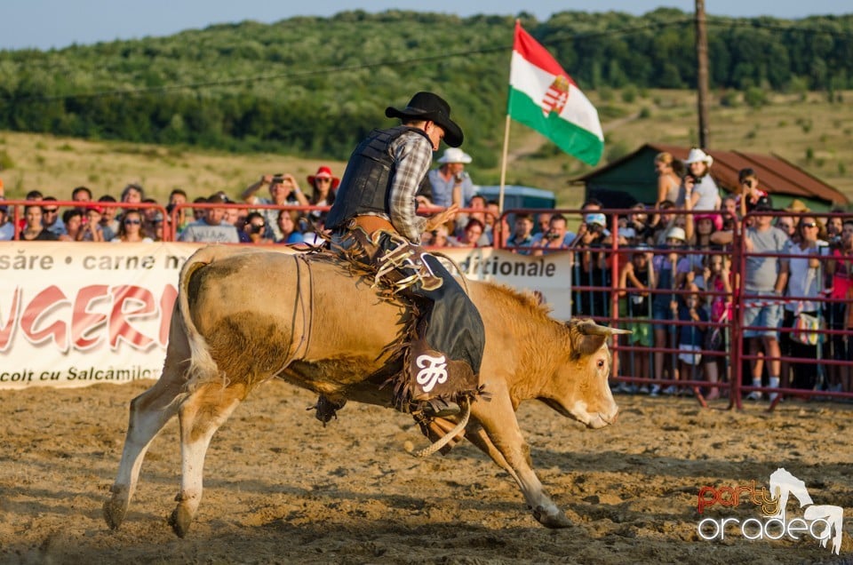 Campionat European de Rodeo, Băile Felix