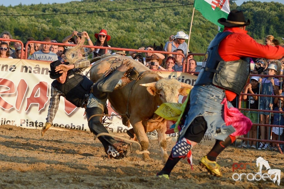 Campionat European de Rodeo, Băile Felix