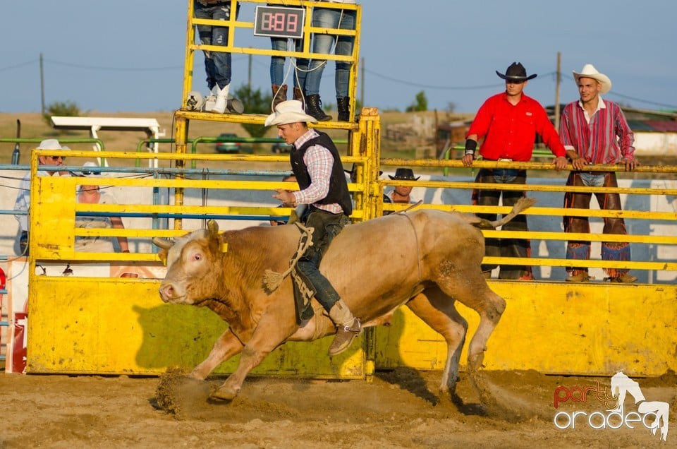 Campionat European de Rodeo, Băile Felix