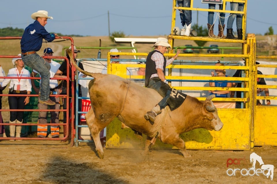 Campionat European de Rodeo, Băile Felix