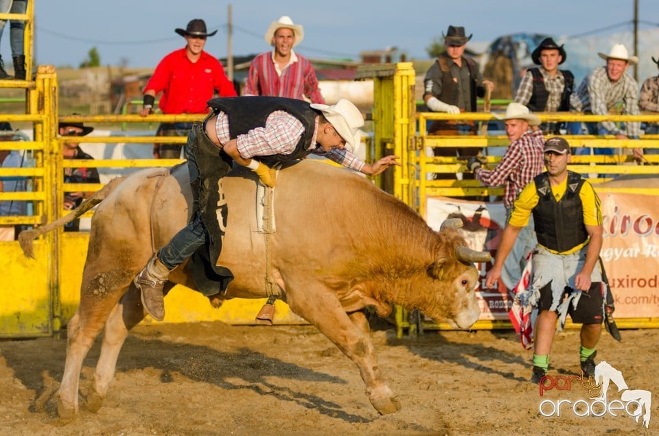 Campionat European de Rodeo, Băile Felix