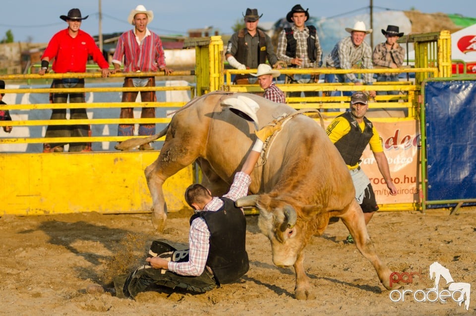 Campionat European de Rodeo, Băile Felix