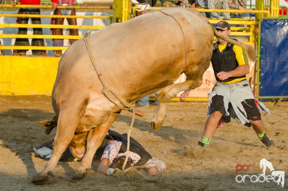 Campionat European de Rodeo, Băile Felix