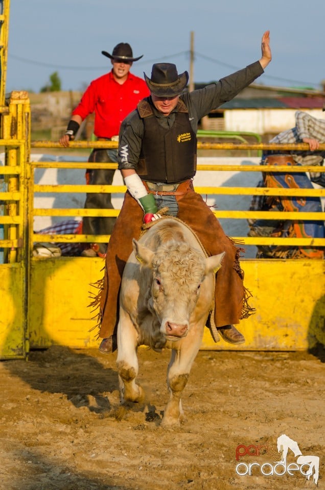 Campionat European de Rodeo, Băile Felix