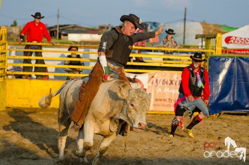 Campionat European de Rodeo, Băile Felix