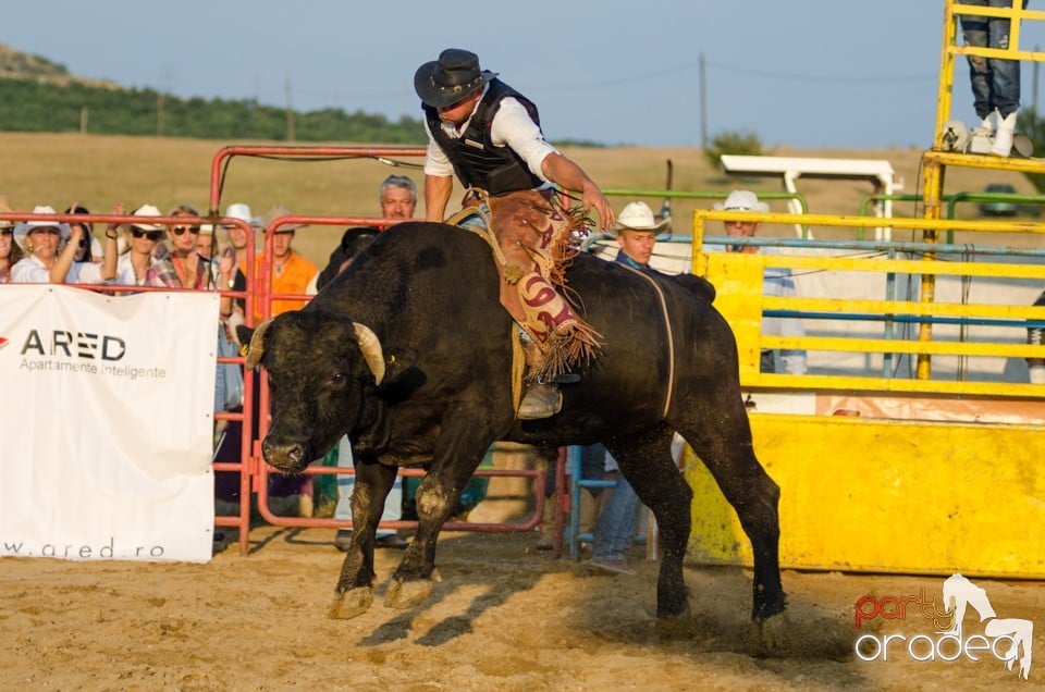 Campionat European de Rodeo, Băile Felix