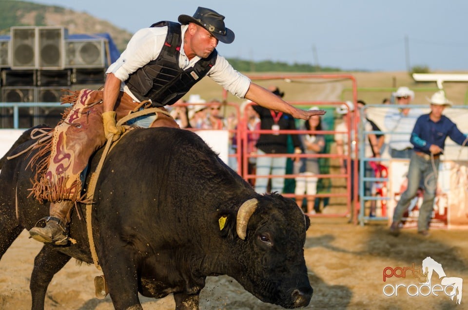 Campionat European de Rodeo, Băile Felix