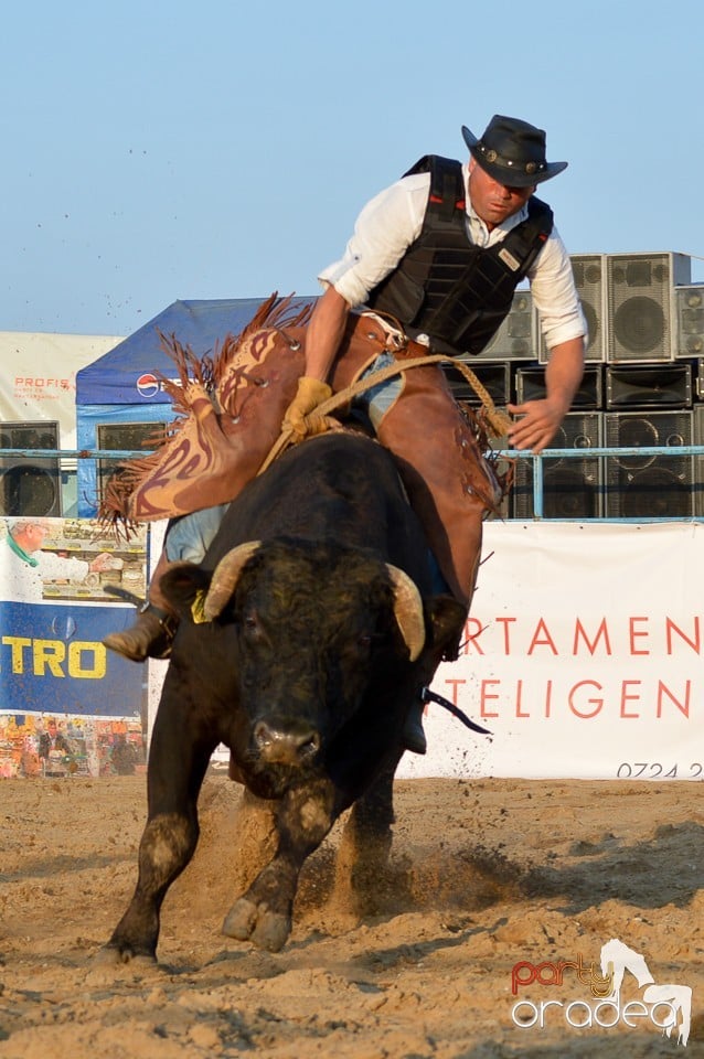 Campionat European de Rodeo, Băile Felix