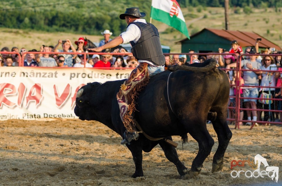 Campionat European de Rodeo, Băile Felix