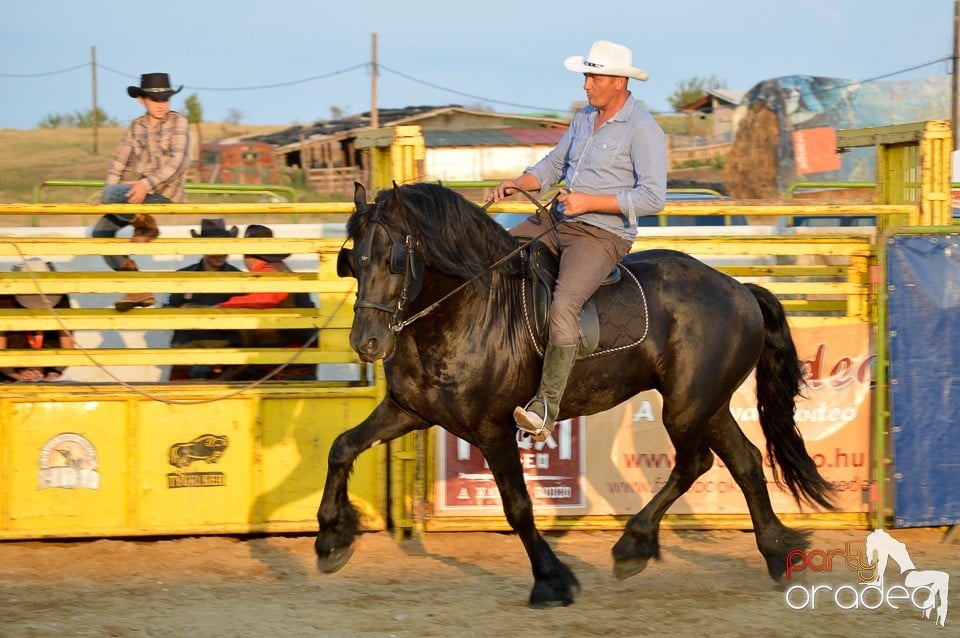 Campionat European de Rodeo, Băile Felix