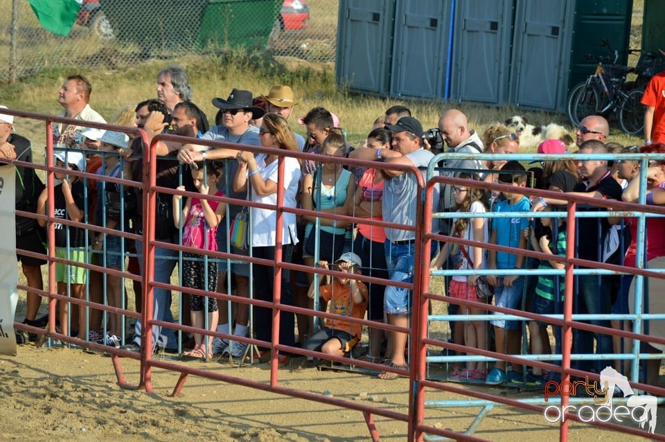 Campionat European de Rodeo, Băile Felix