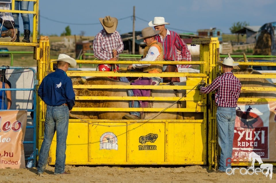 Campionat European de Rodeo, Băile Felix