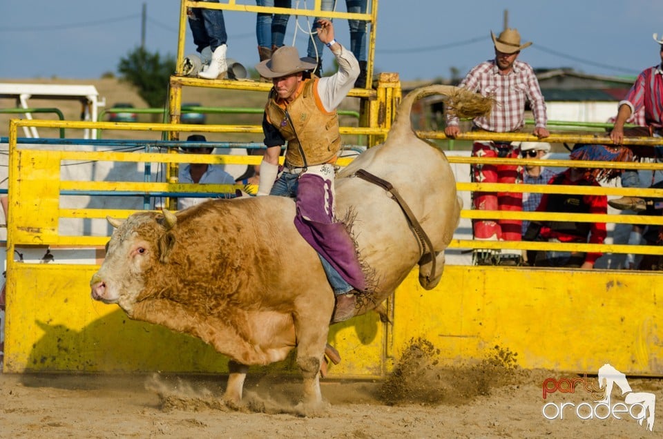 Campionat European de Rodeo, Băile Felix