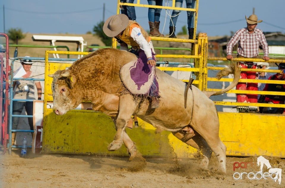 Campionat European de Rodeo, Băile Felix