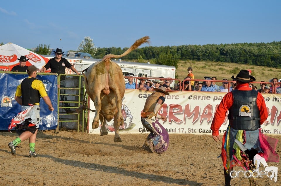 Campionat European de Rodeo, Băile Felix