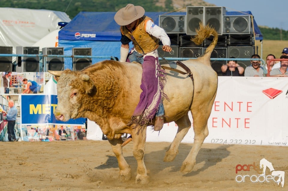 Campionat European de Rodeo, Băile Felix