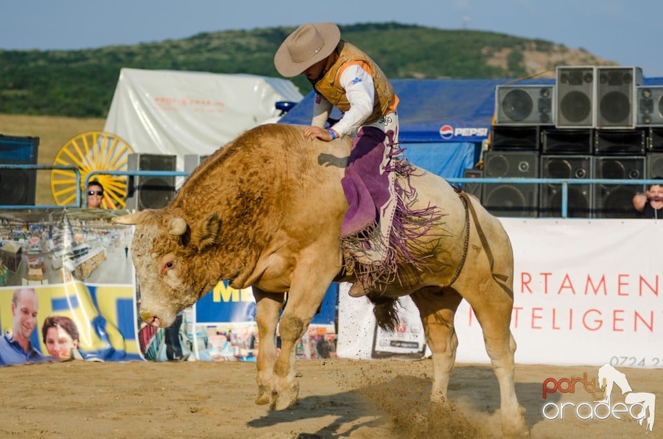 Campionat European de Rodeo, Băile Felix