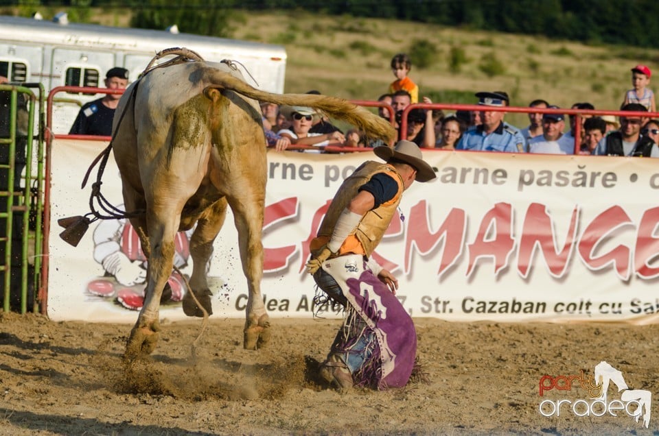 Campionat European de Rodeo, Băile Felix