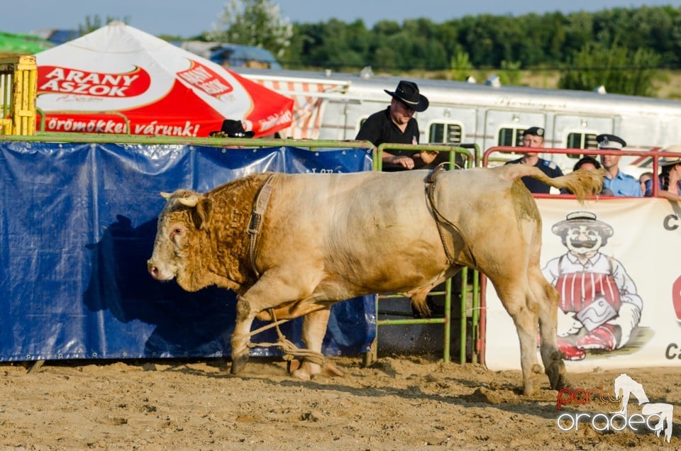 Campionat European de Rodeo, Băile Felix