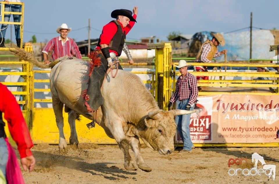 Campionat European de Rodeo, Băile Felix