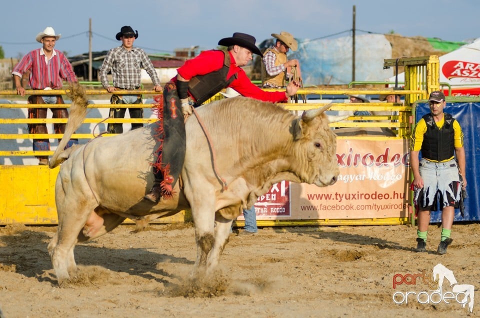 Campionat European de Rodeo, Băile Felix