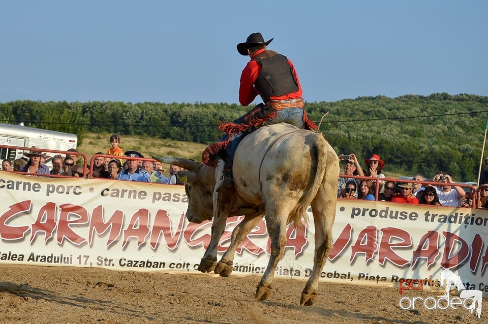 Campionat European de Rodeo, Băile Felix