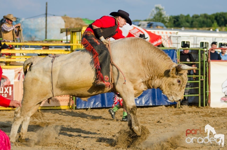 Campionat European de Rodeo, Băile Felix