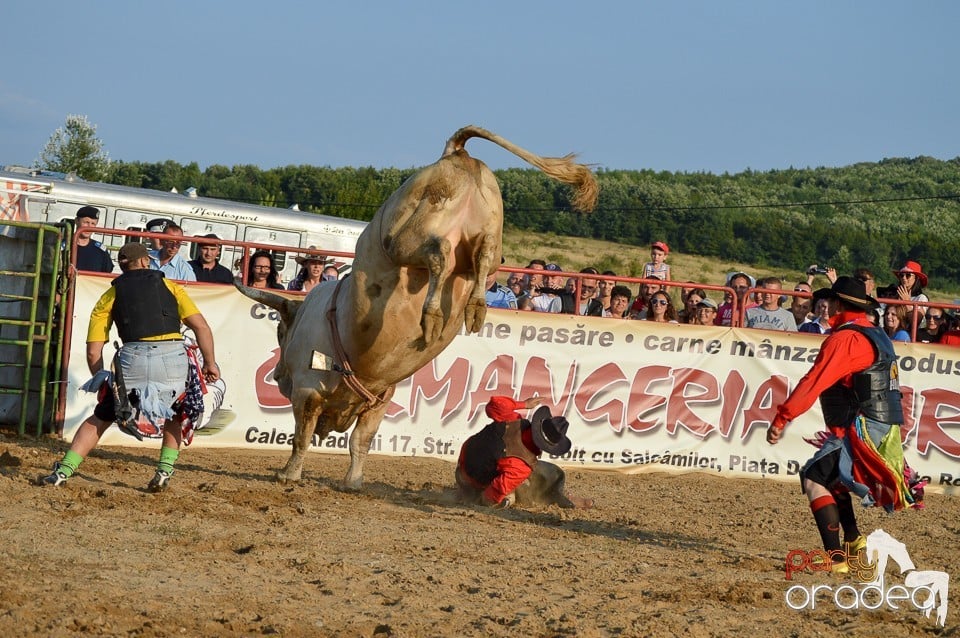 Campionat European de Rodeo, Băile Felix